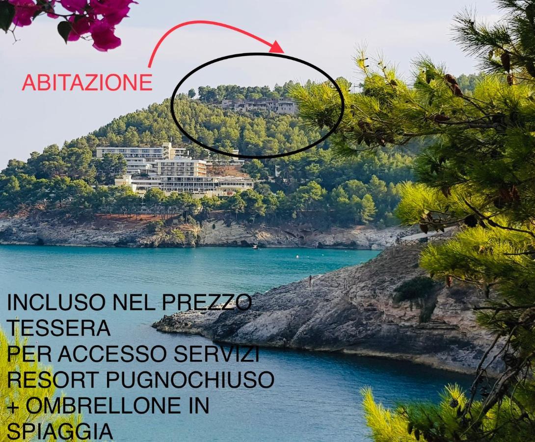 La Finestra Sul Mare - Antonella Apartment فيستَ المظهر الخارجي الصورة